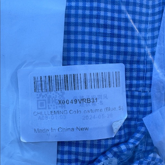 Blue and White Gingham Dress with Apron and Bonnet - Picture 3 of 3